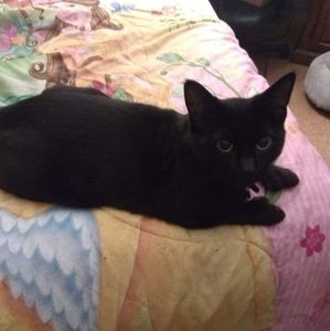 Meet your Posher, Eileen